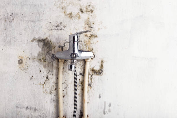 Best Office Mold Removal Services  in Barview, OR