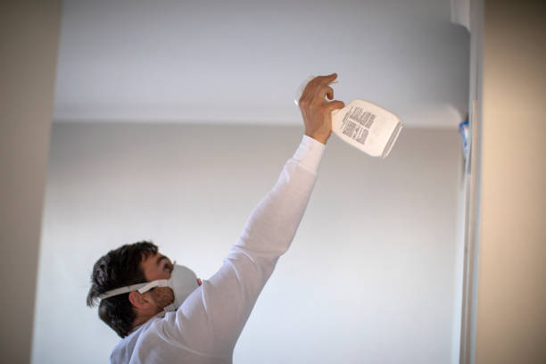 Home Mold Removal in Barview, OR