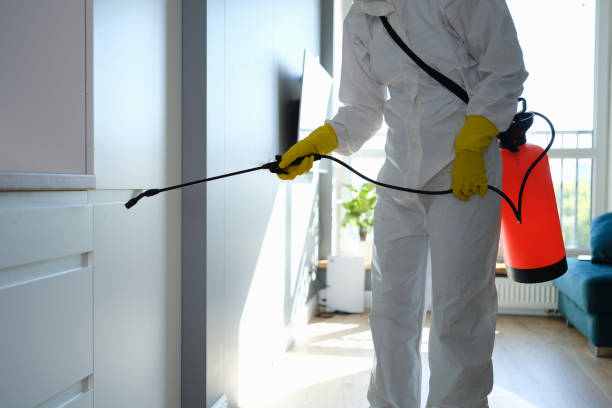 Best Attic Mold Removal  in Barview, OR