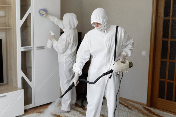 Best Toxic Mold Removal  in Barview, OR